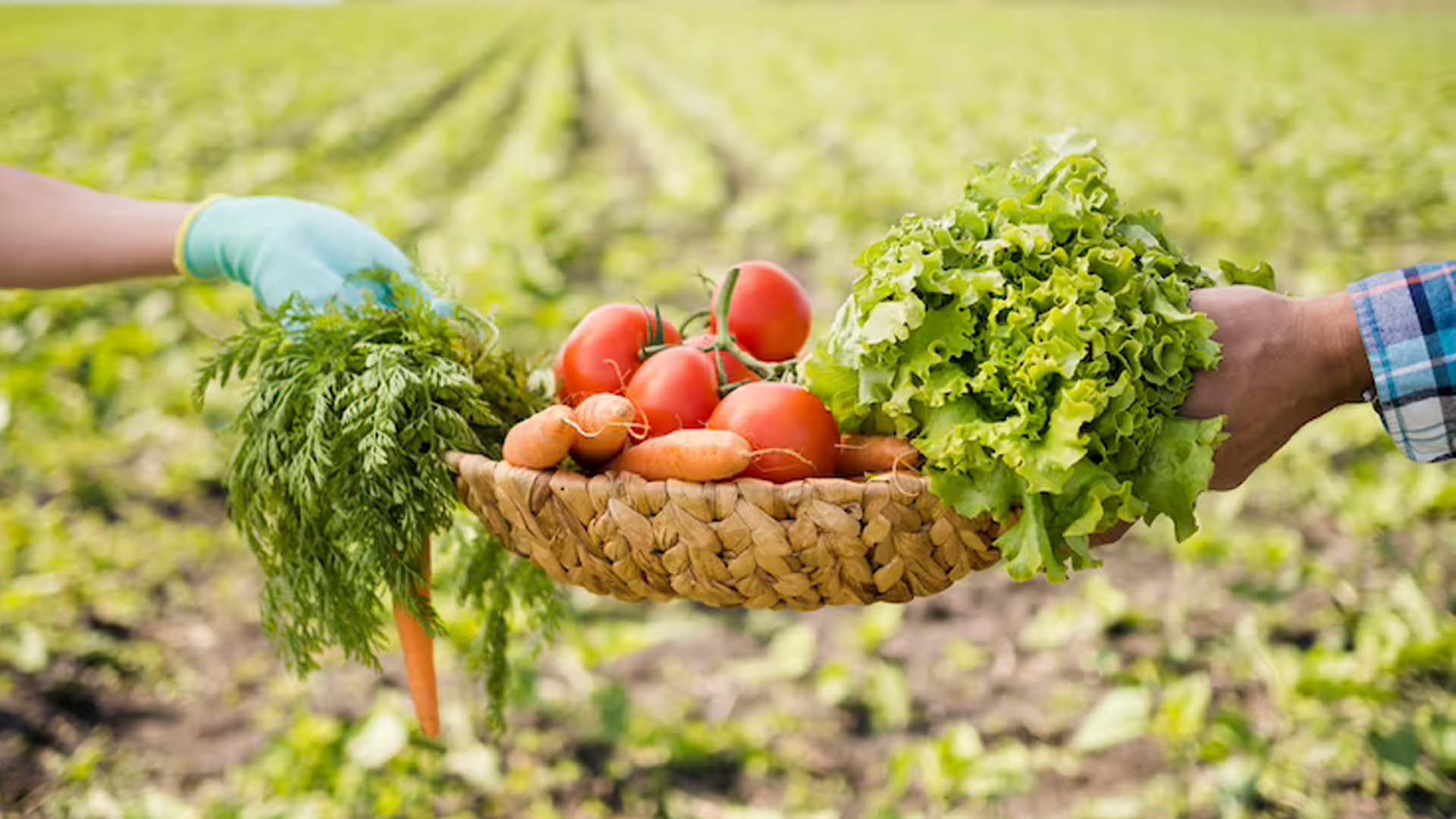  Organic farming course in Dehradun